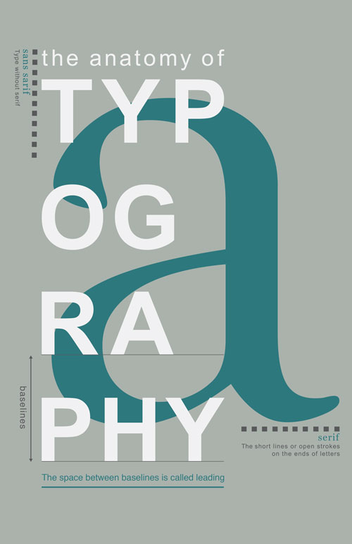 Type Anatomy Posters